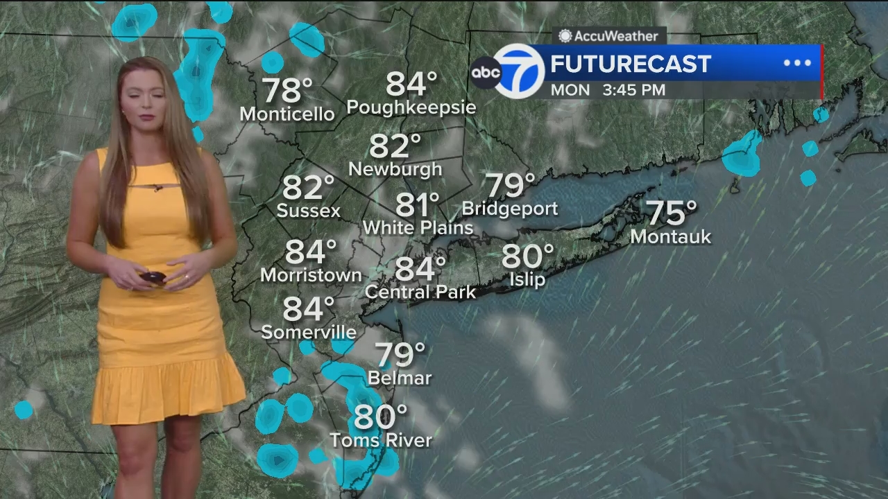 Eyewitness News Mornings at 10_20240603_15001600.ts_snapshot_00.46.25.240