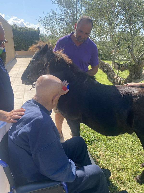 horsetherapy2