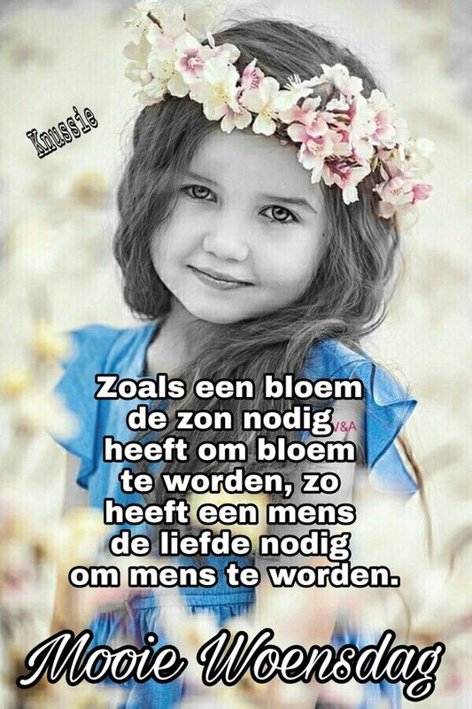 46f33385a5806f466885207027393833