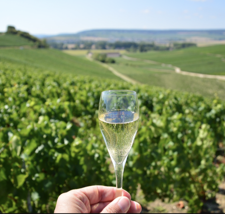 champagnetour.eth Ethereum Name Service (ENS and .eth domain) PFP