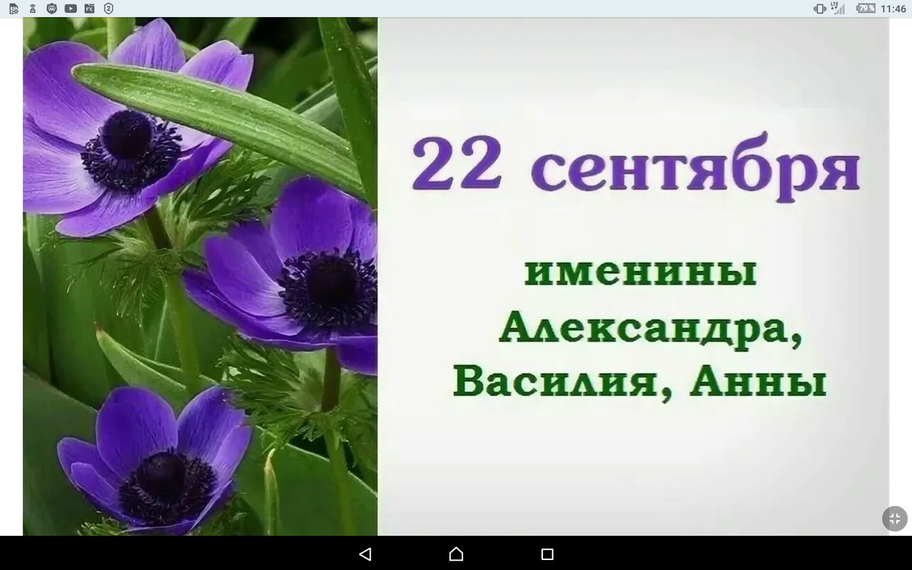 Screenshot_2022-09-22-11-46-50