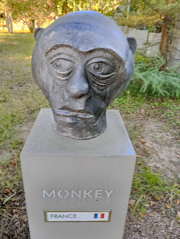 Obrazek
