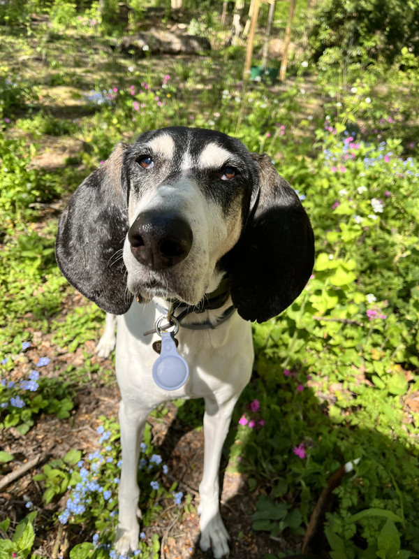 6CE2F0C8-337C-43EC-8EDD-1A9709A82972