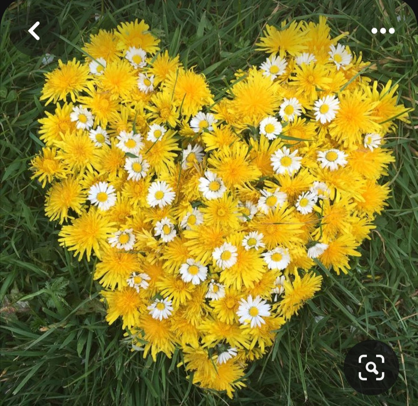 Screenshot_20240214_114552_Pinterest