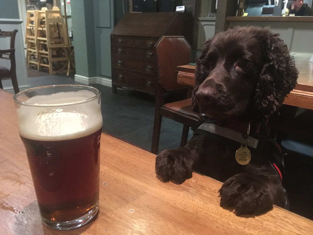 88216863-A83C-4818-B868-B2ACCF40187B