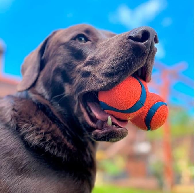 Chuckit! Brinquedo de buscar cães - imagem 2