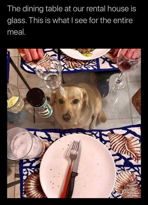 thumbs-picdump817-001.jpg