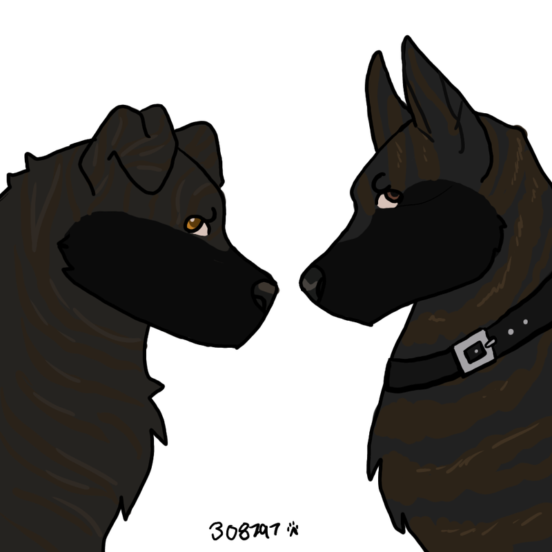 Untitled100-20240108230903.png