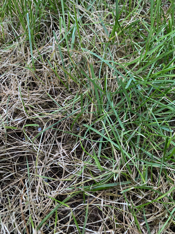 9B7B6218-370C-40FF-968A-356421596658