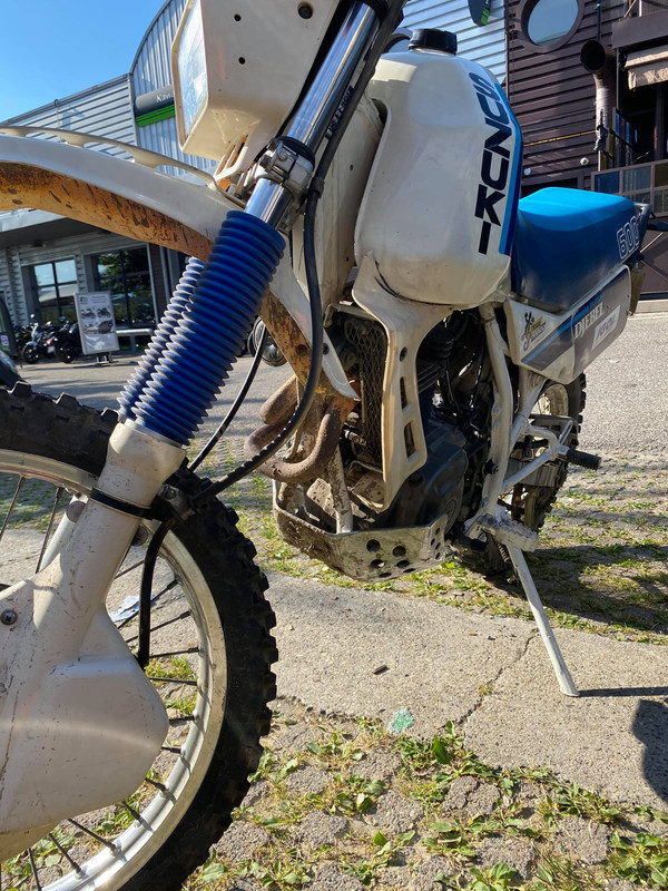 82541904_687449392049345_2442085084149317632_n (1)