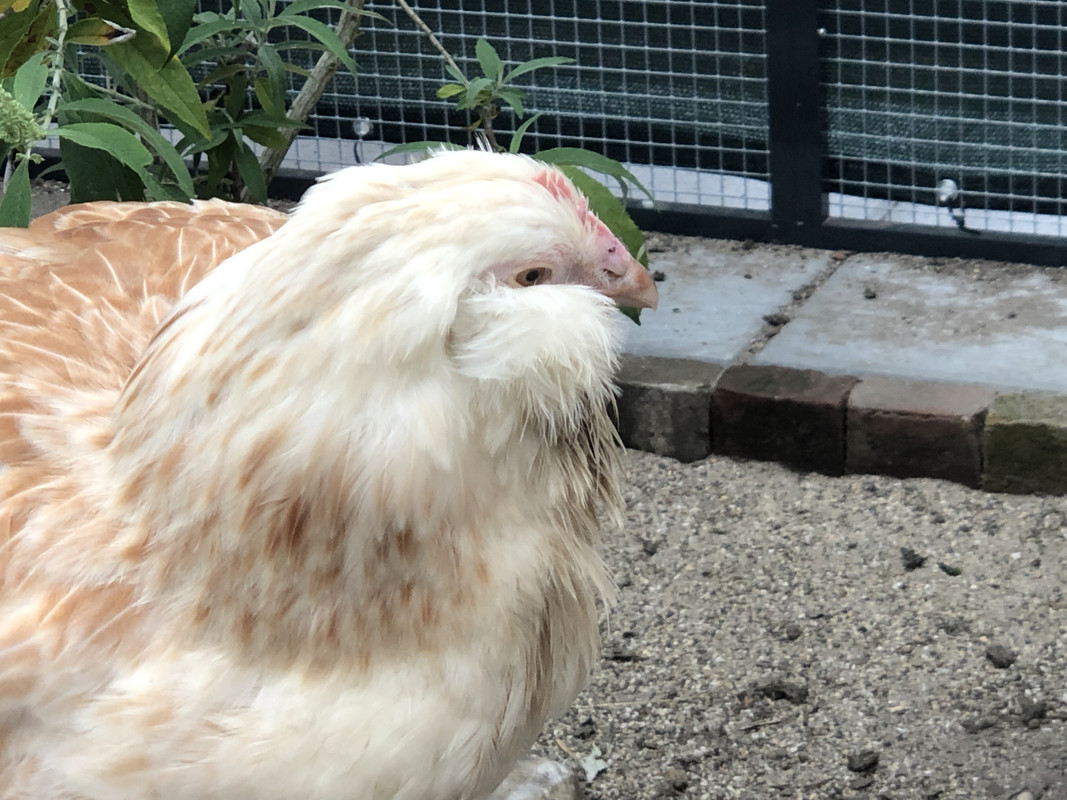 05475FE3-F36C-4067-9C71-9CEF7B152347