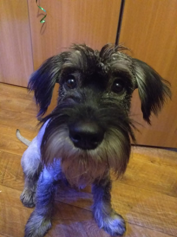 E59B0893-4657-4DE0-B5A5-2D0C3F9A8CA6