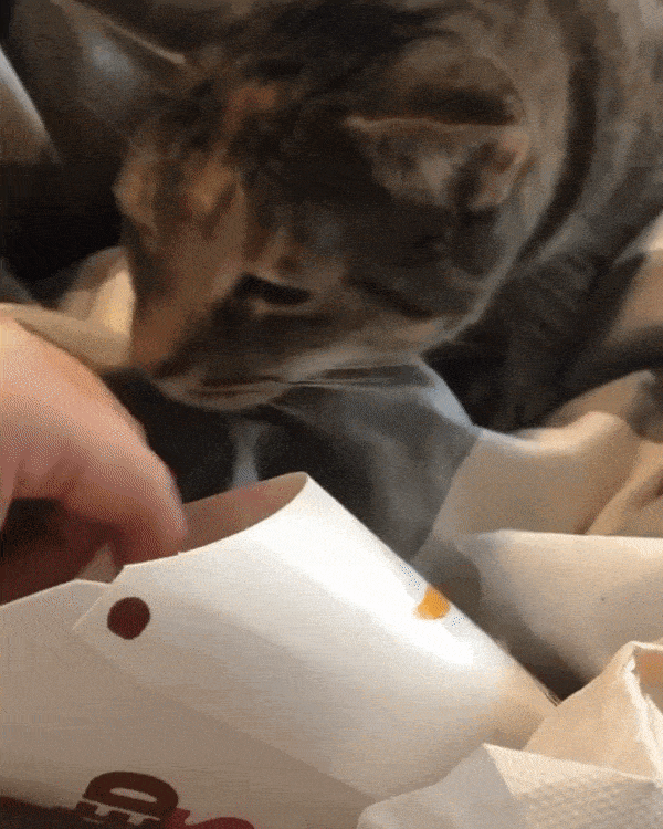 daily-gifdump-3386-28.gif