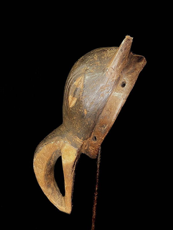 large image 9