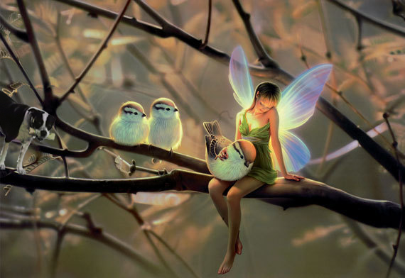 In-The-Woods-fairies-10536394-570-392.png