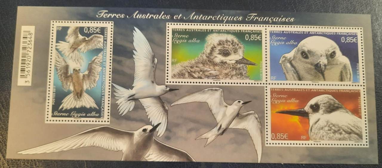 531203608 5086603211565723 6027868979071104185 n