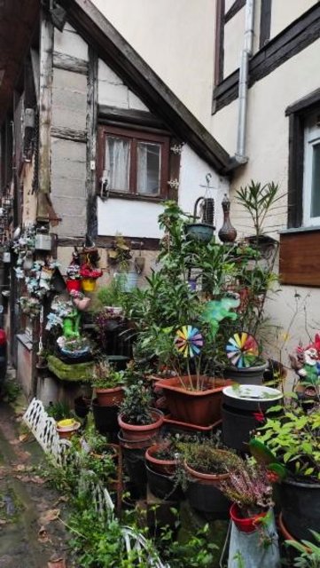 OBERNAI-15-11-2022 - Francia y sus pueblos-2016/2022 (57)