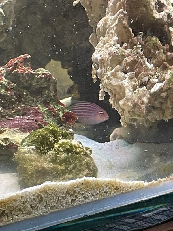 WhatsApp Image 2021-11-02 at 13.38.14 (1)