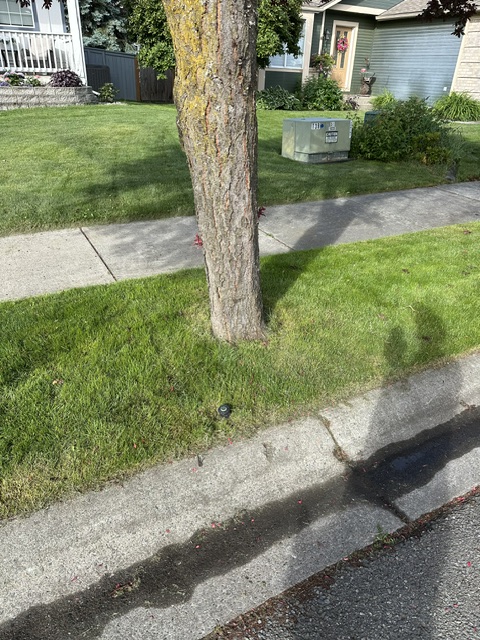 IMG 0745 Copy