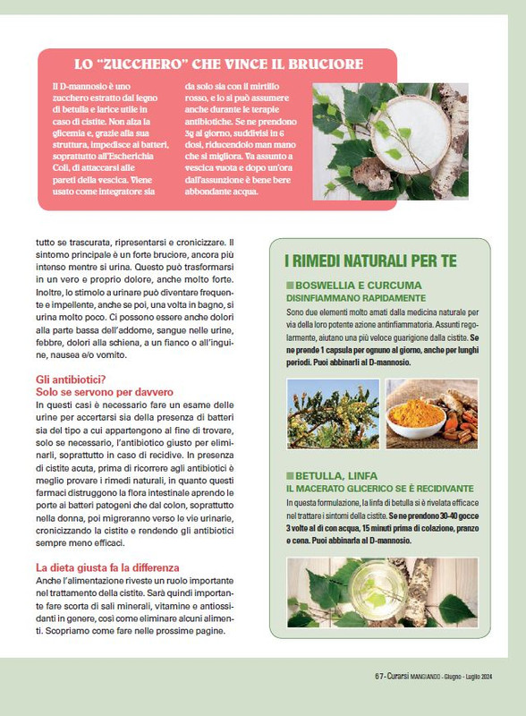 Cur Mang Giu-Lug 2024 (10)