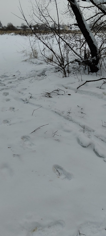 k5Cw Sm Nl ELVYXXv0Apq7be6Vnd66jk LEZ3skz t KCz Avi02Lbv KHw Tx3me KXQq Vn2e5MVz Jla6u Cf PRzb Xs Xi