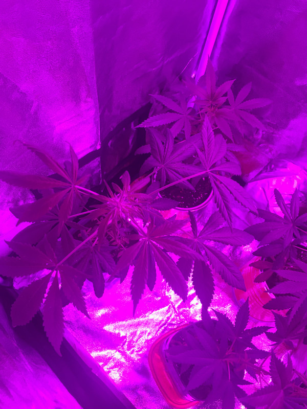 64C001A4-C3E0-4E63-9FA1-53BA85E76403