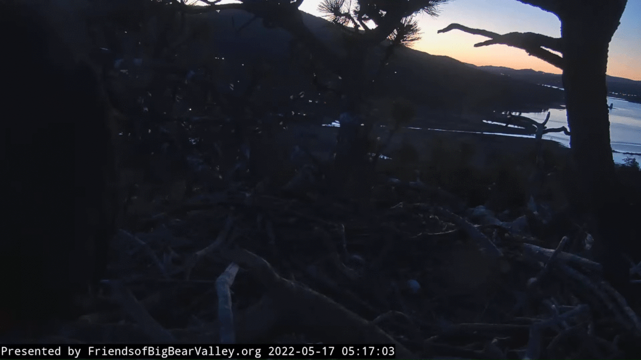 Webp.net-gifmaker (2)