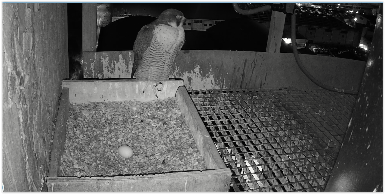 Screen Shot 02-27-25 at 06.51 PM