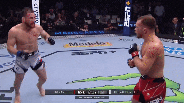 ezgif.com-optimize (33)