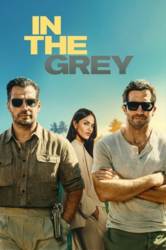 In The Grey 2026 720p WEB-DL x264-TFPDL