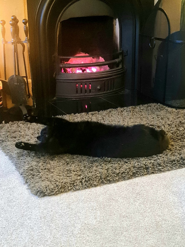 hotlad