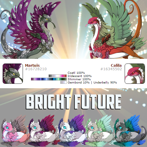 Bright-Future.png