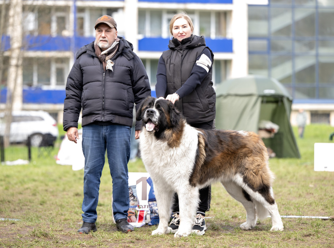 Перс стойка_resized