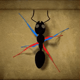 GIFs-17