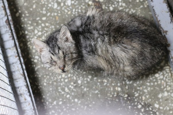 804F6A00-E651-4A5F-B6FB-60CC9FFBC42E