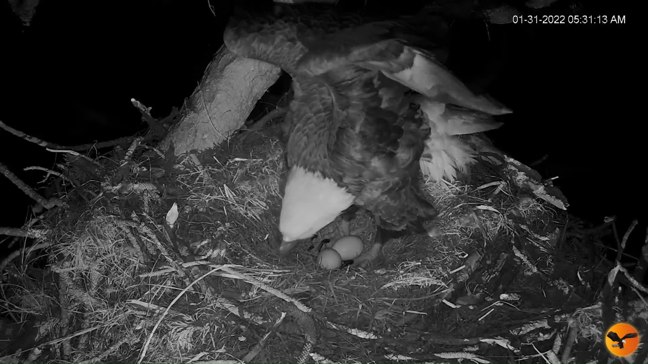 EC 4K Overhead Cam 12-49-29 screenshot