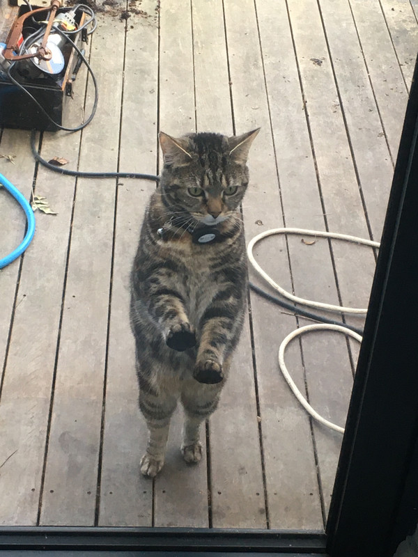 D2142839-BC8D-46F3-BBF6-2486BDF30721