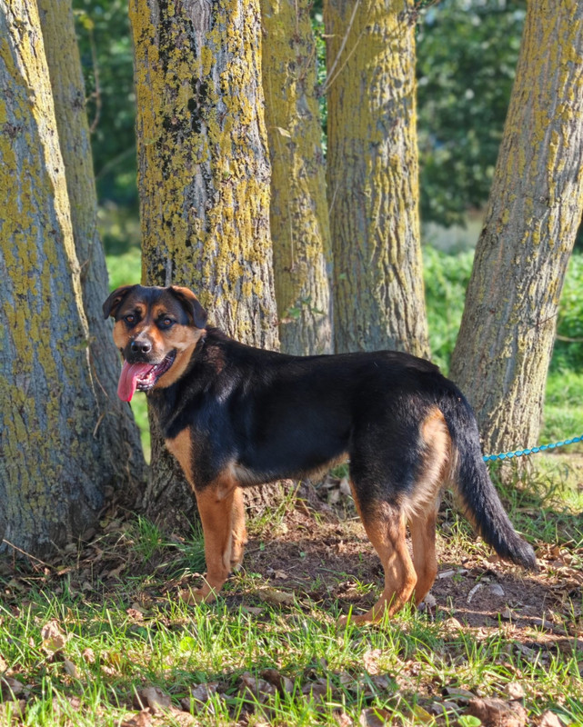 8VE 9p Qkc9MOD8Sx CGUb8Dv0vckb RB1YX6YEm WE7D2thm WAZc DF5VTk OVn TPFc74KM20eknm RNz DYy3tf XFQs3Cl