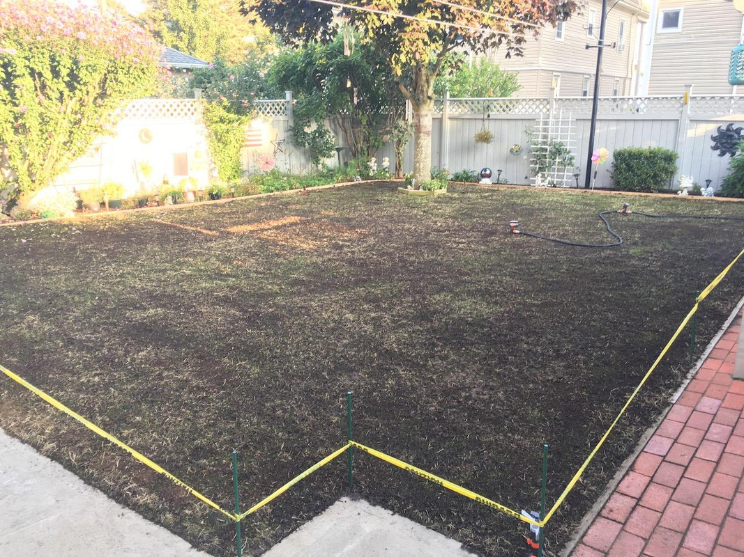 2017_Backyard_Reno_Day_8_1_small