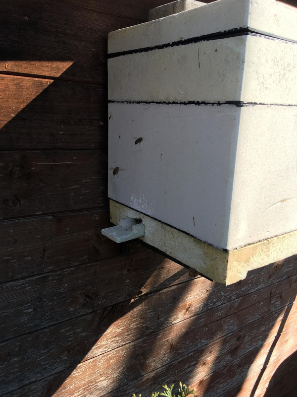 C1D2E9A8-8CC7-47F7-8798-53072CC9EC23