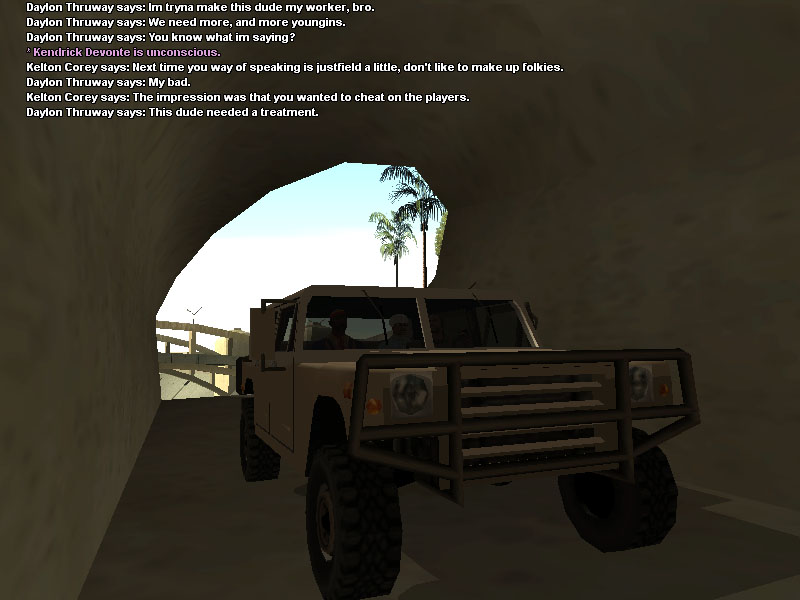 ss2.jpg