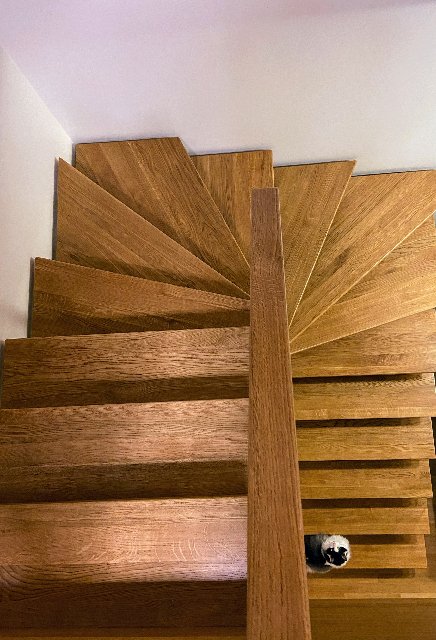 F1-B03-C77-16-EC-48-D0-95-BB-10-F83-FDF9