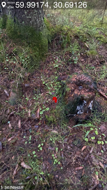 photo 5253773347487681873 y