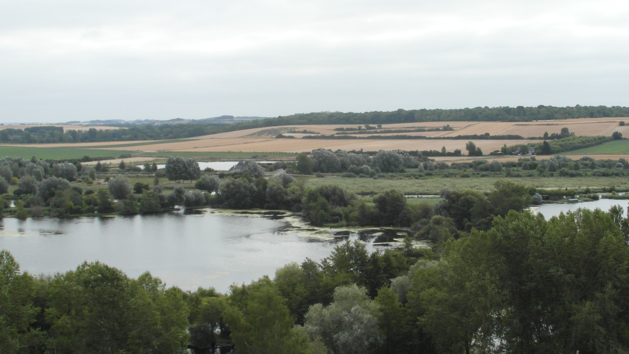 SAM 0725 — Postimages