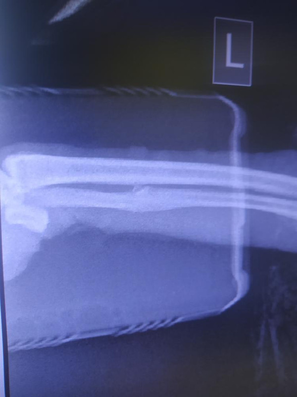 054849AC-9211-4CCC-97F1-DFAB227D8FF7