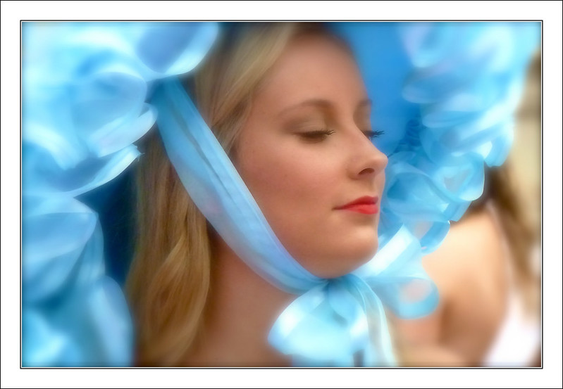 bluebonnet.jpg