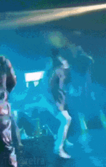 556.gif