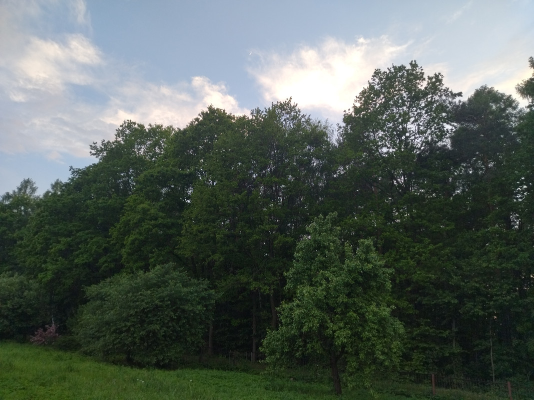 [Obrazek: IMG-20250531-201858.jpg]