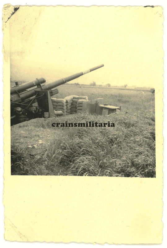 8,8 cm Flak Geschütz m. Bilanz Flugplatz COMISO Sizilien Italien 1941 (5)