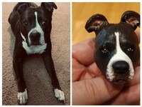 Customer pet figurine review photo